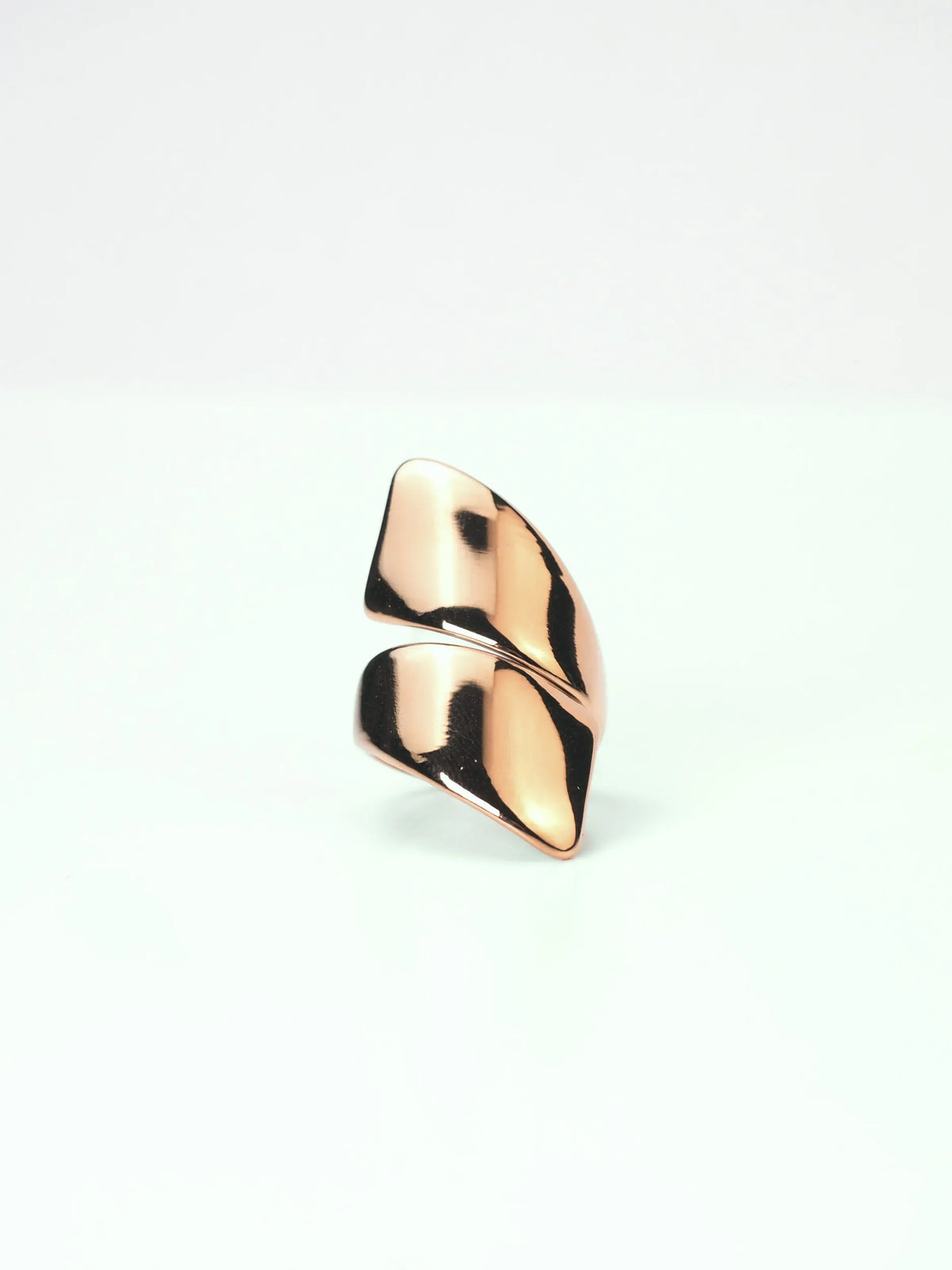 Anillo Órbita Nº01